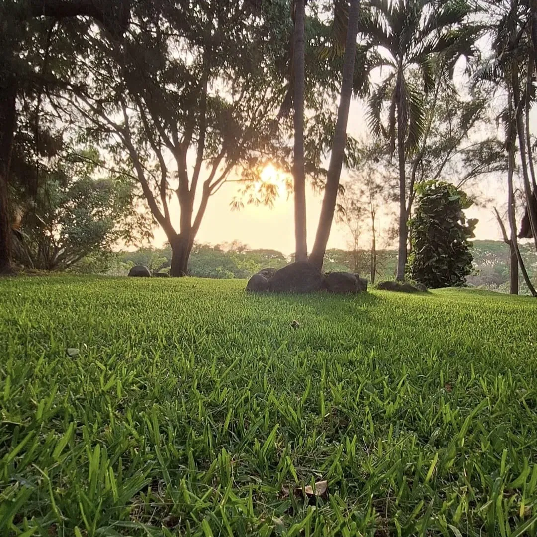 Rancho al atardecer